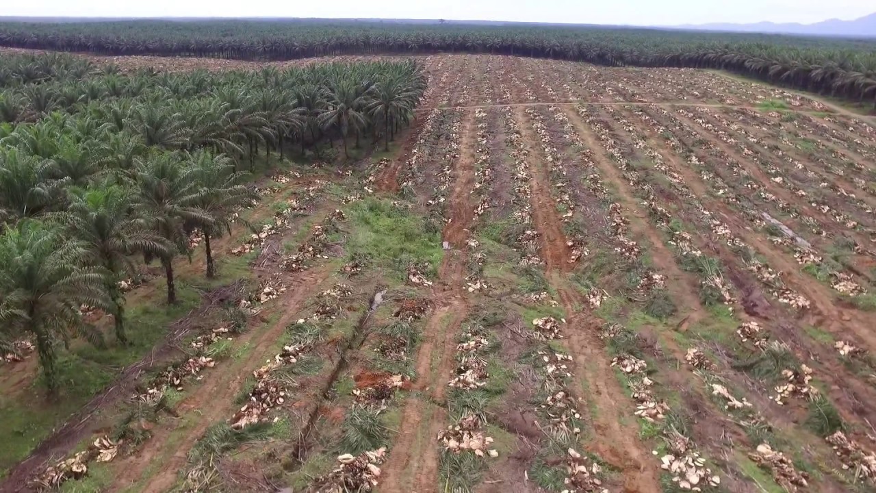 Login Full Background